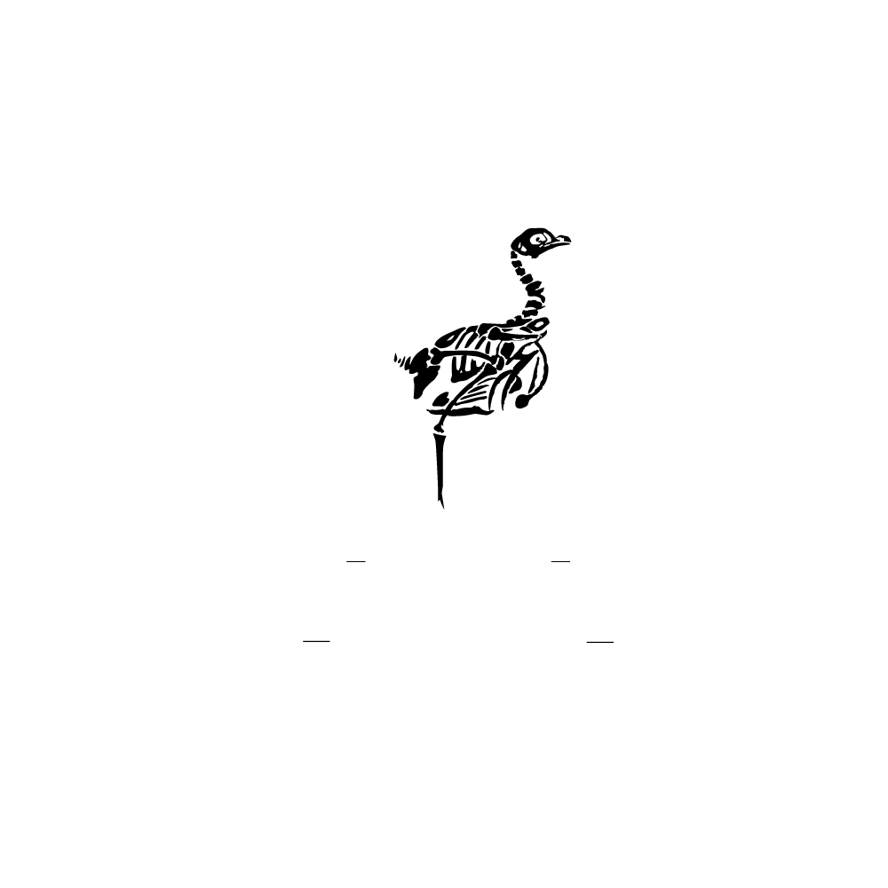 BB-Backyard_LOGO-MARK-white_1k